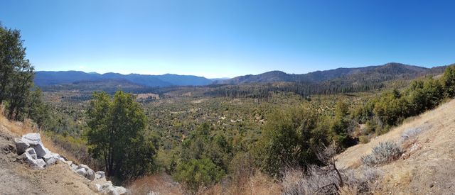 Burnt forests along the Yosemite National Park