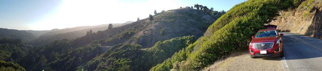 Hills and Forests, Muir Woods