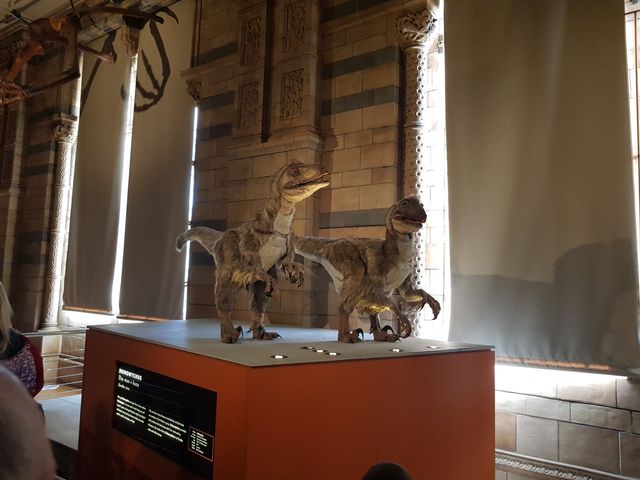Little dangerous dinosaurs: Deinontchus
