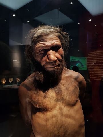 Neanderthal
