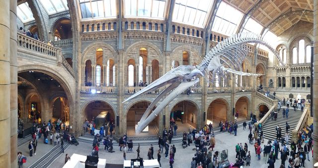 The main hall of Natural History Museum