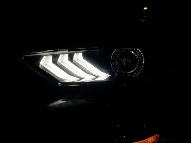 Nice Mustang'ish accent