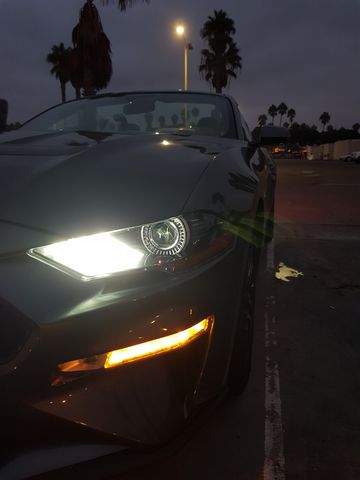 Oh and there is a glowing horse next to the car!