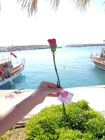 Mothers day while in Turkey