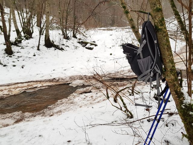 A picnic in the woods with Cacao and some food