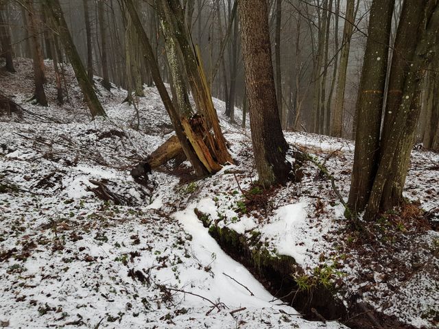 Walking in the nature reserve