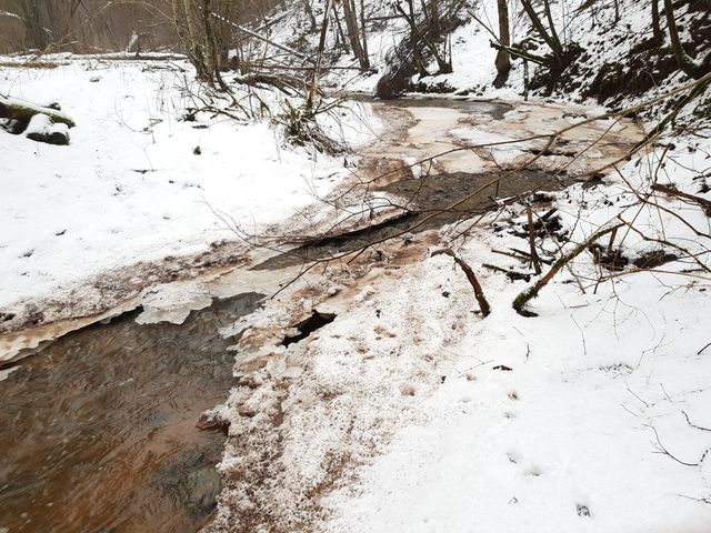 Creek is not frozen anymore