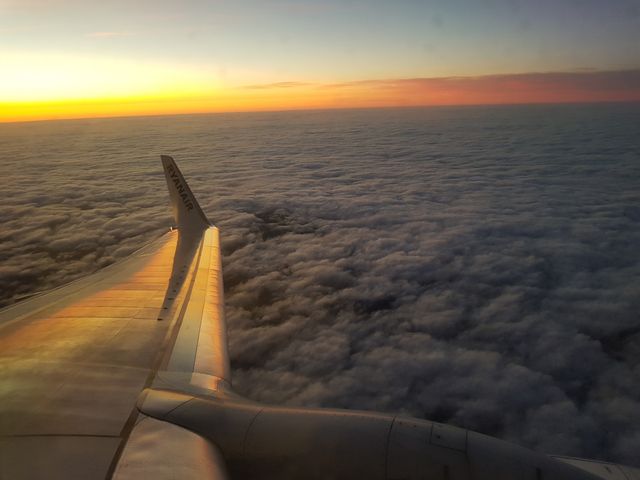 Morning reflection on the wing