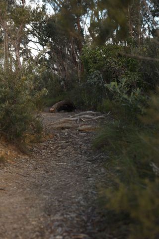 img_7377