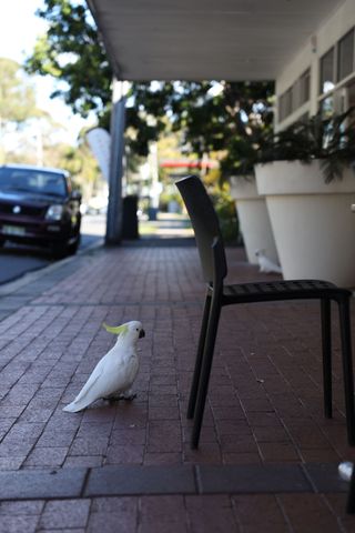 img_7049