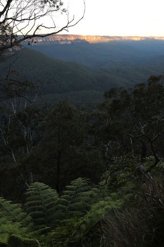 img_7415